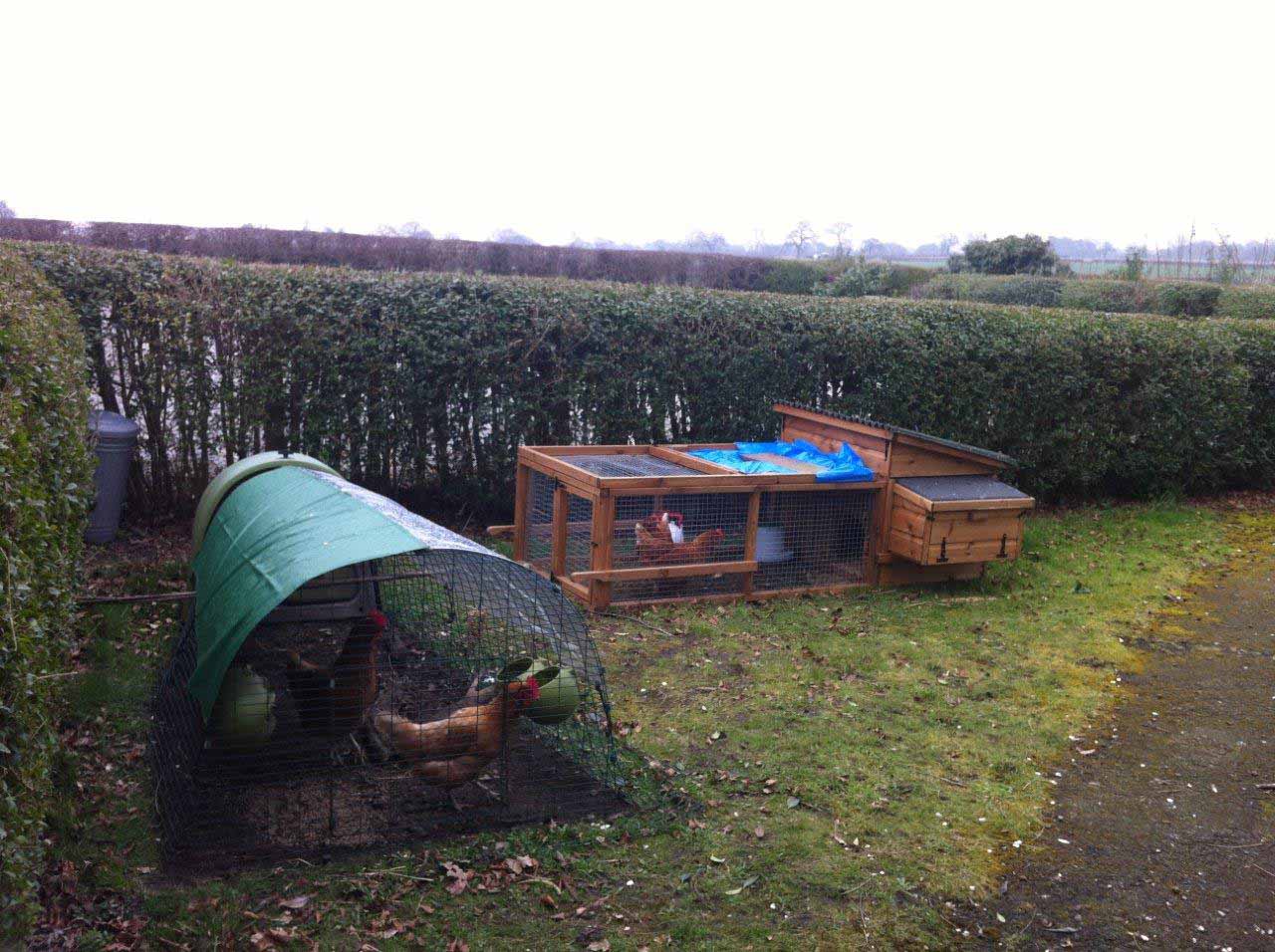 Church Inn Chicks living in harmony or was that Hermione…